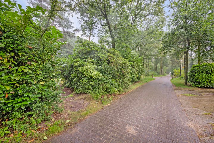 Foto 28 van De Stille Wille 79