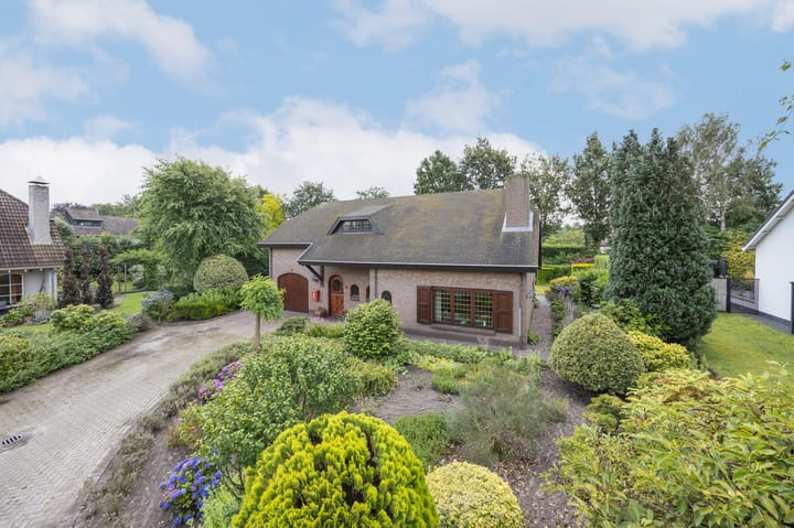 Foto 5 van Contrabas 64