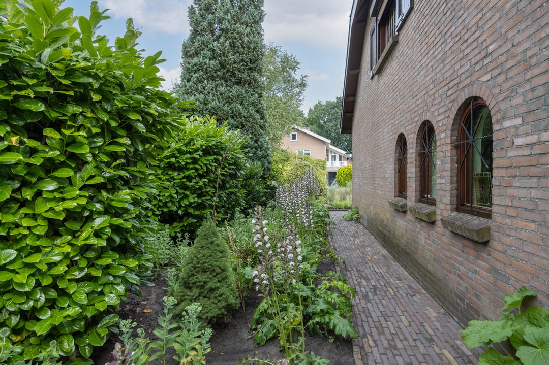 Foto 43 van Contrabas 64