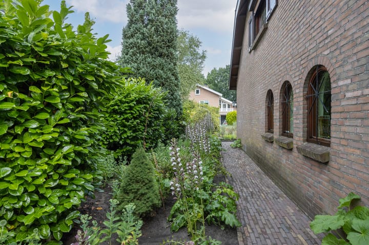 Foto 43 van Contrabas 64