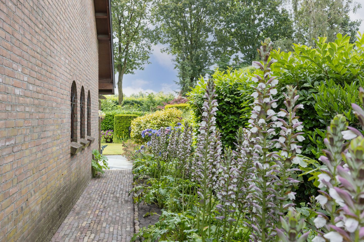 Foto 49 van Contrabas 64