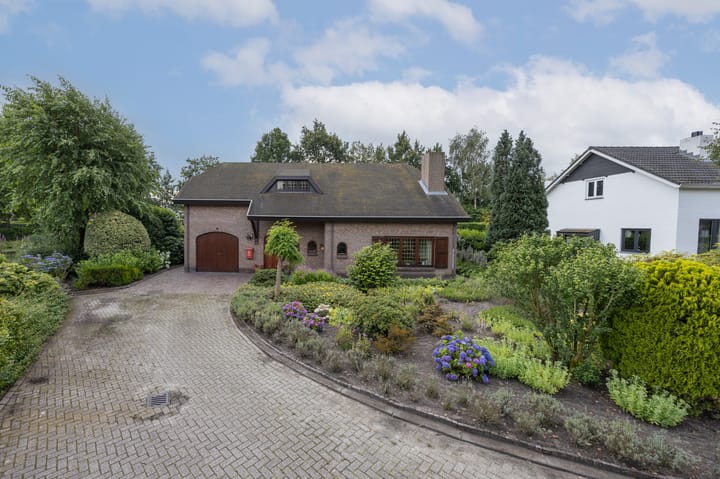 Foto 55 van Contrabas 64