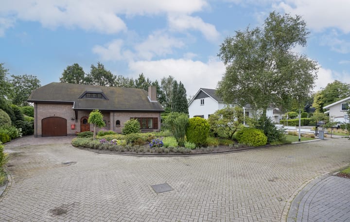 Foto 56 van Contrabas 64