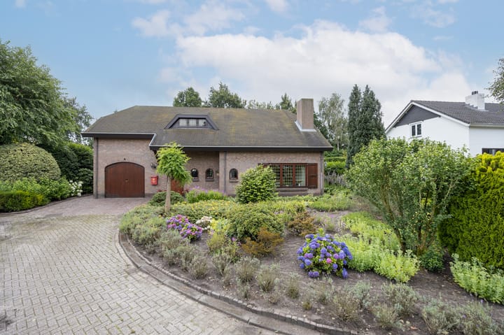 Foto 57 van Contrabas 64