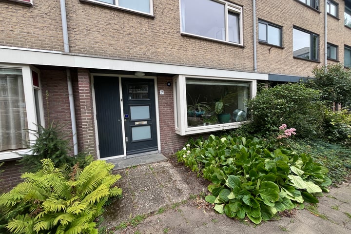 Fruinplantsoen 7