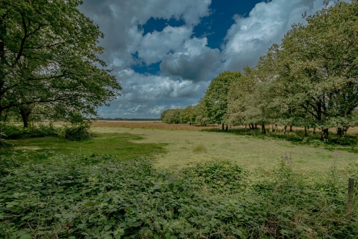 Foto 5 van Witteveen 20-W