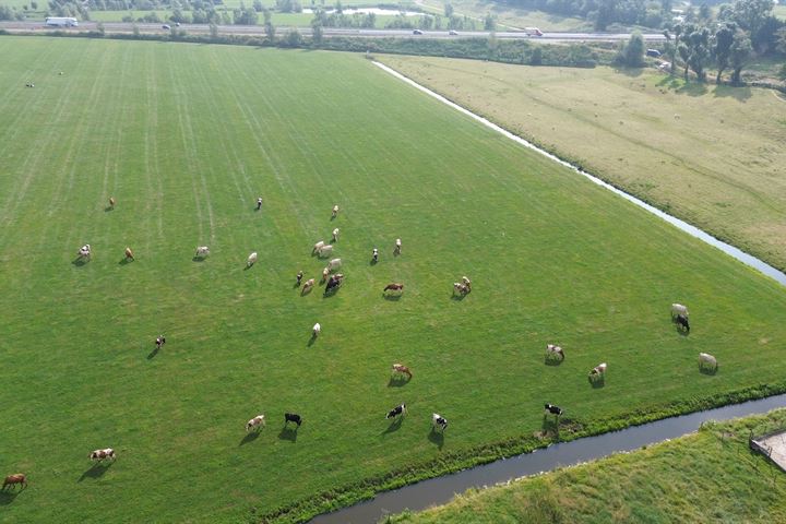 Bekijk foto 34 van Zonnedauwlaan 29