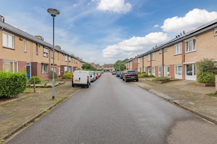 Foto 45 van Lijsterbesstraat 19