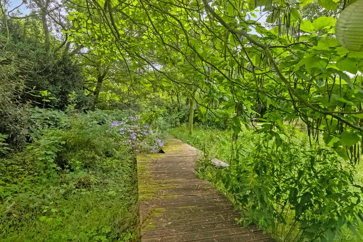 Bekijk foto 61 van Grintweg 396