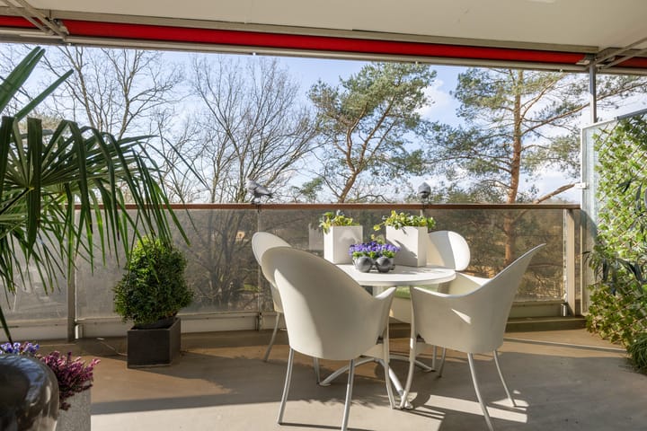 Foto 27 van Bosuillaan 43