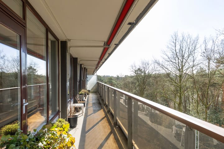 Foto 29 van Bosuillaan 43