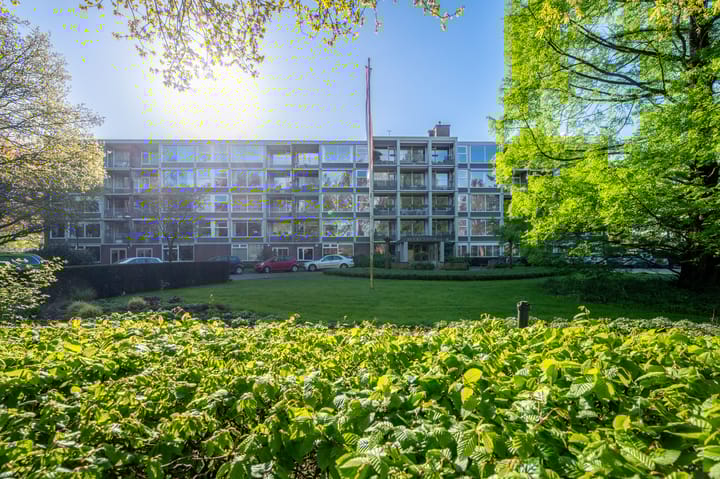 Foto 2 van Beukenhorst 98