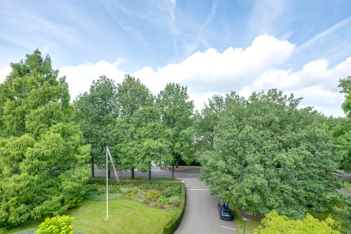 Foto 17 van Beukenhorst 98