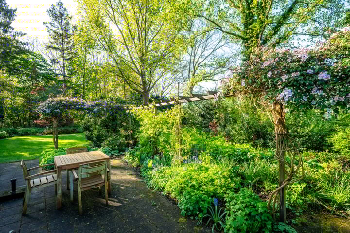 Foto 32 van Beukenhorst 98