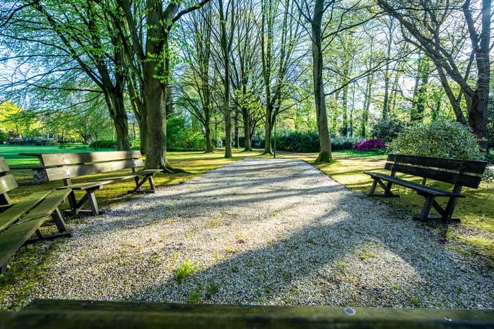 Foto 34 van Beukenhorst 98