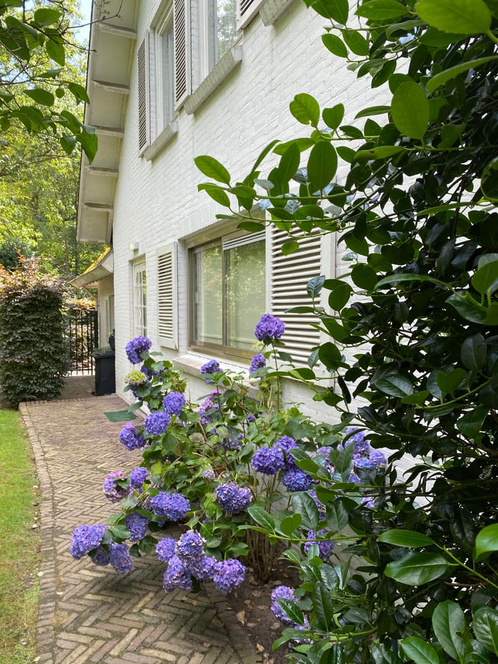 Foto 43 van Esscheweg 76