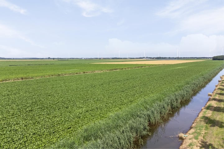 View photo 51 of Westerdiep 31