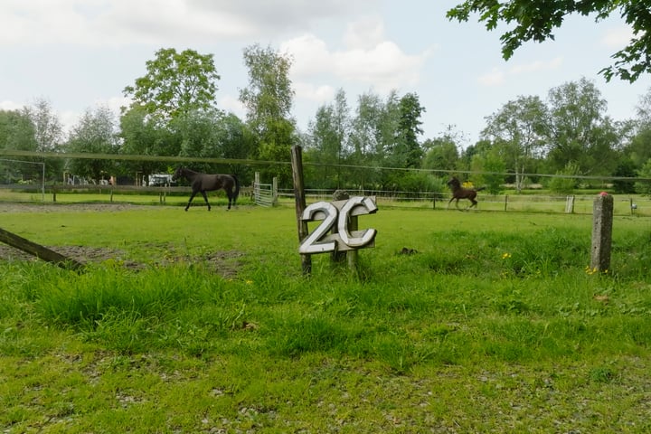 Photo 4 of Veenzoom 2-C