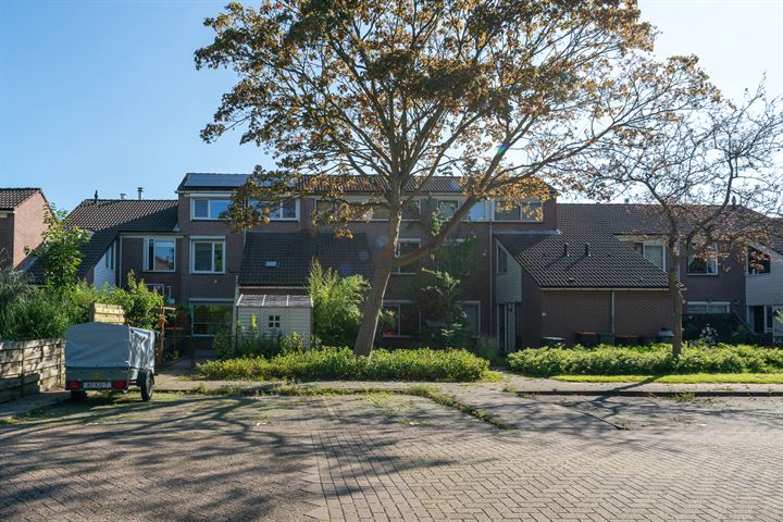 Bekijk foto 37 van Zirkoon 35