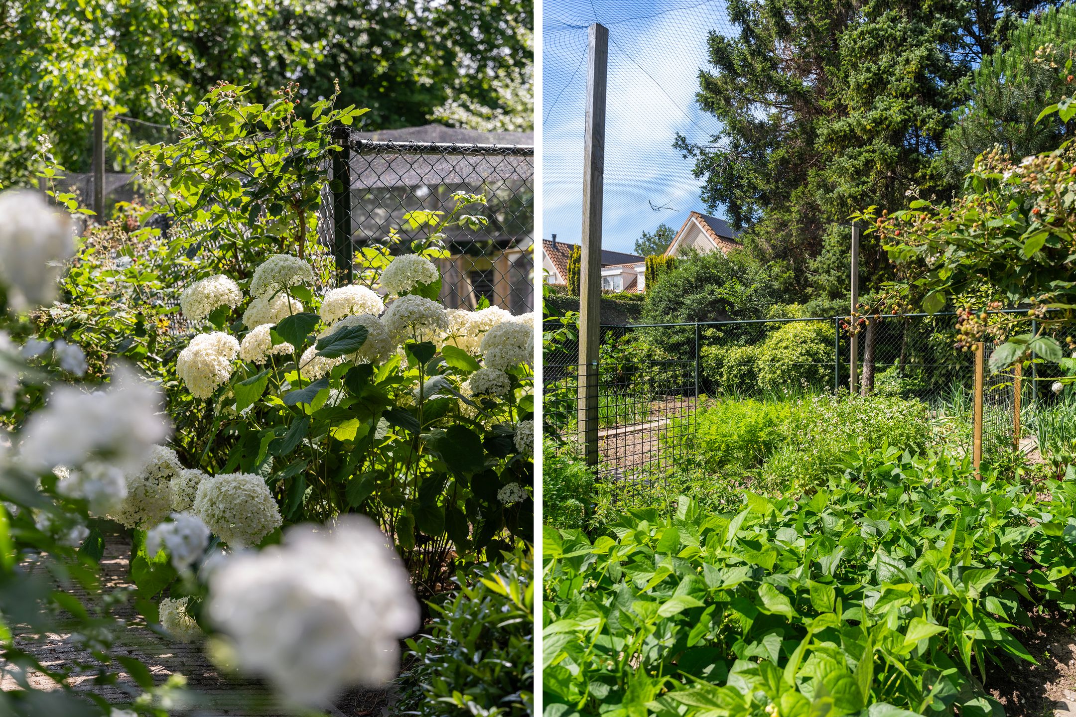 Photo 63 of Zevenbergsedijkje 94