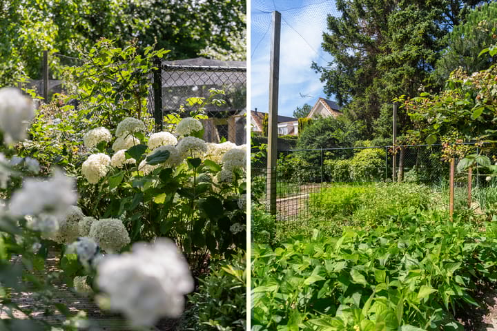 Foto 63 van Zevenbergsedijkje 94