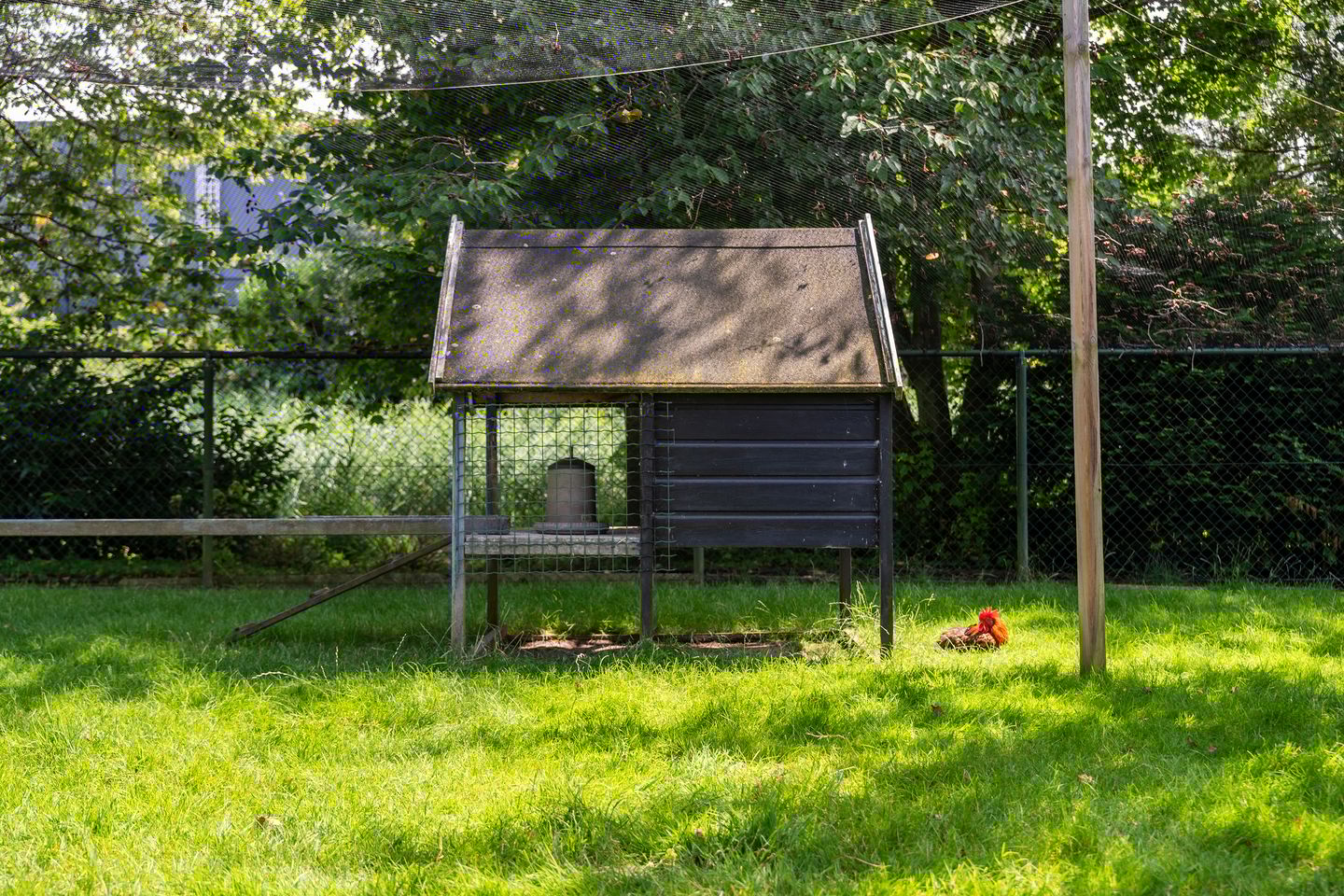 Photo 64 of Zevenbergsedijkje 94