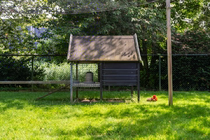 Foto 64 van Zevenbergsedijkje 94