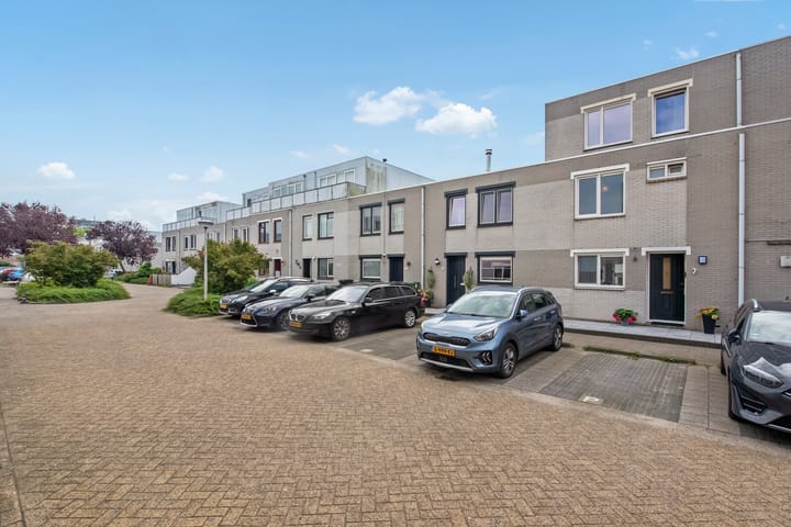 Foto 5 van Meloengeel 7