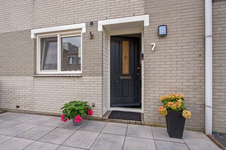 Foto 6 van Meloengeel 7