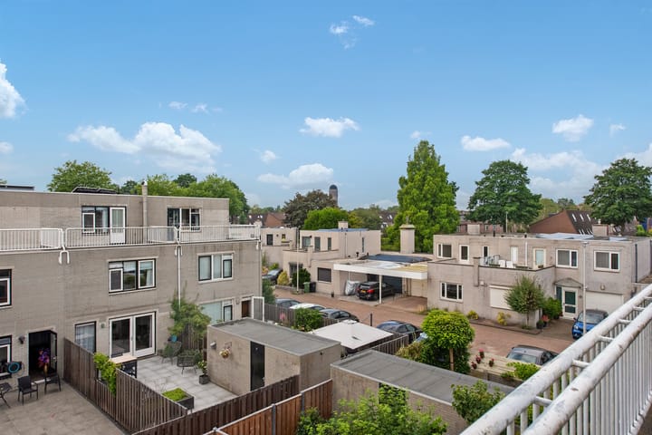 Foto 31 van Meloengeel 7