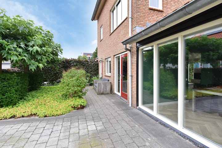 Photo 8 of Blauw Glidkruid 4