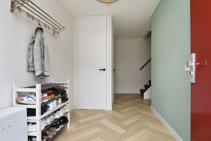 Photo 10 of Blauw Glidkruid 4