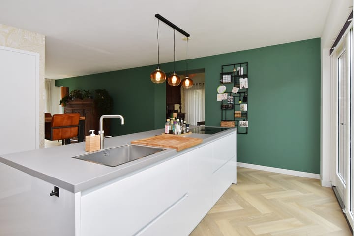 Photo 18 of Blauw Glidkruid 4