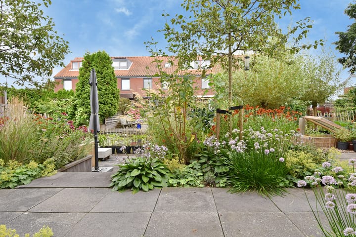 Photo 30 of Blauw Glidkruid 4