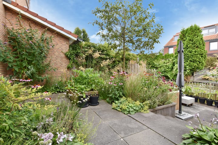 Photo 31 of Blauw Glidkruid 4