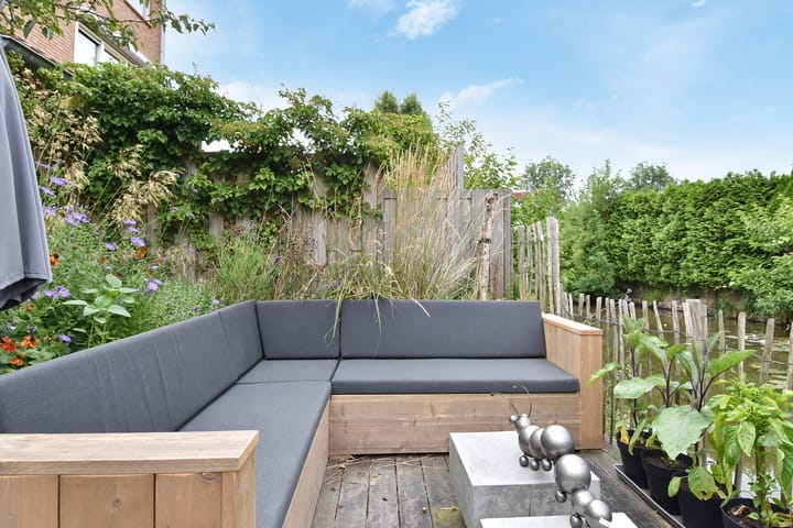 Photo 32 of Blauw Glidkruid 4