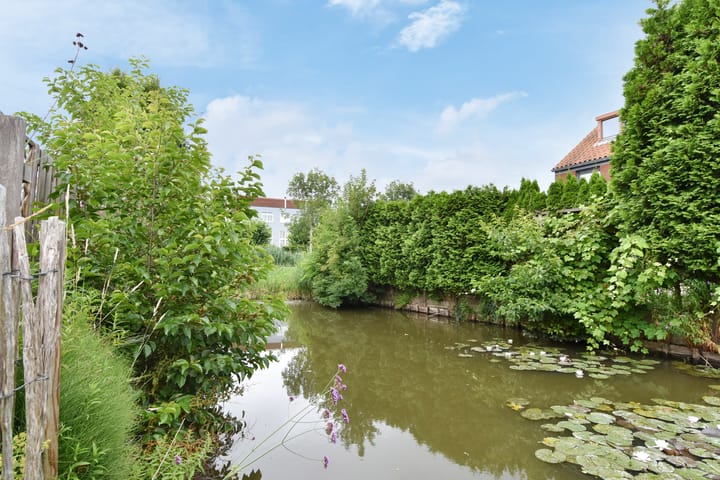 Photo 33 of Blauw Glidkruid 4