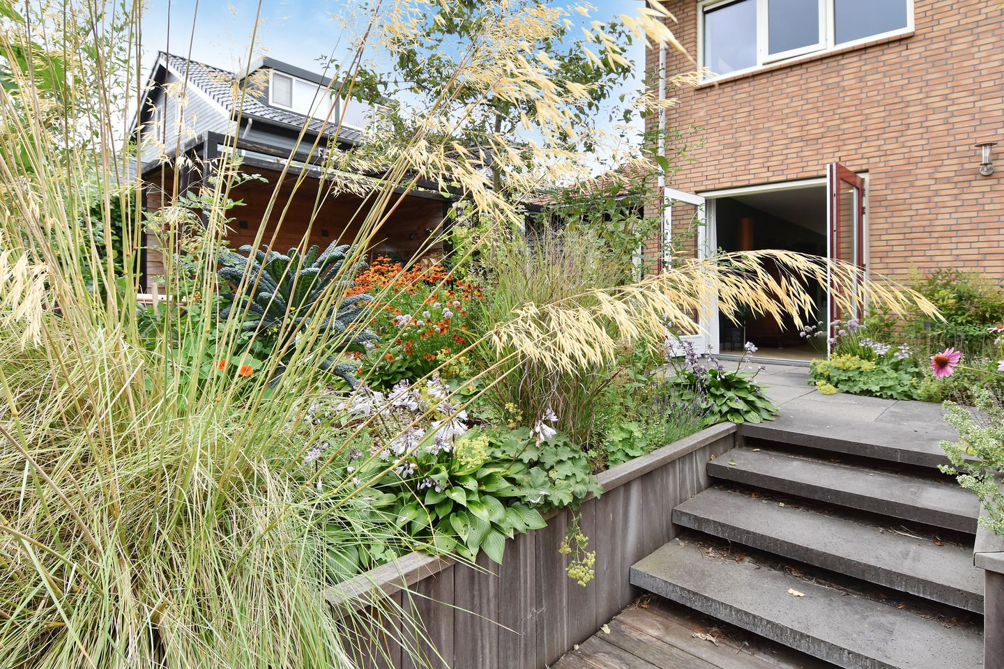 Photo 4 of Blauw Glidkruid 4