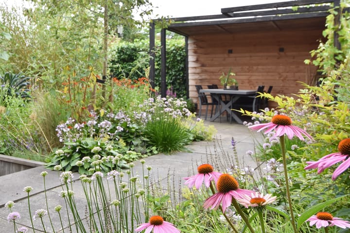 Photo 34 of Blauw Glidkruid 4