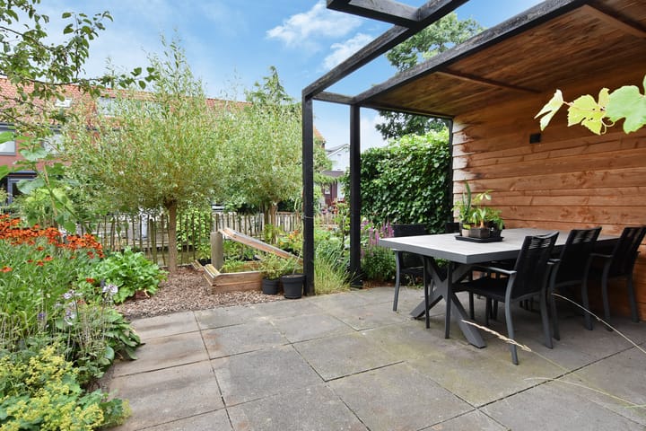 Photo 36 of Blauw Glidkruid 4