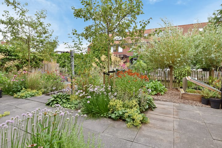 Photo 37 of Blauw Glidkruid 4