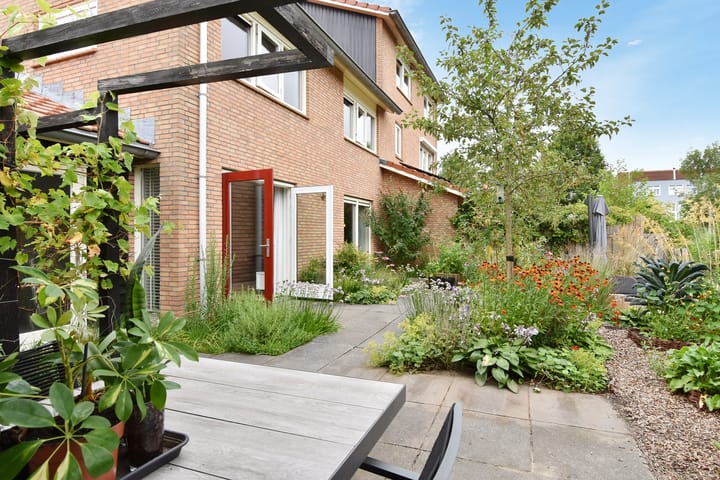 Photo 38 of Blauw Glidkruid 4