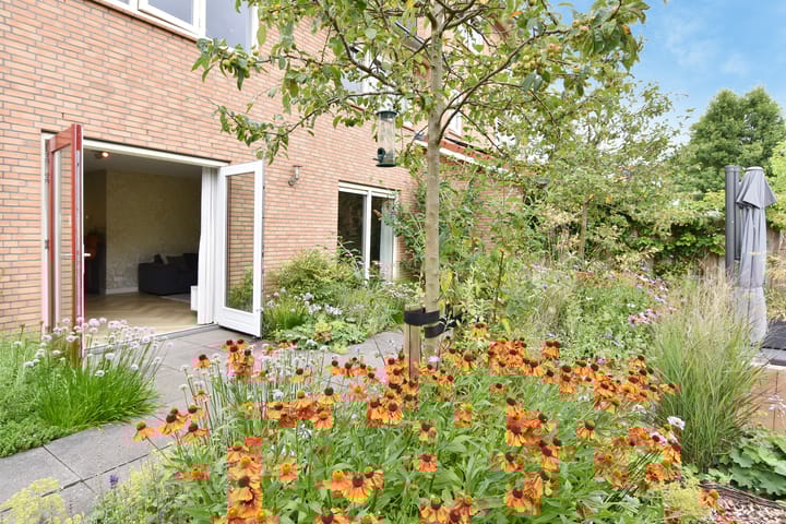 Photo 39 of Blauw Glidkruid 4