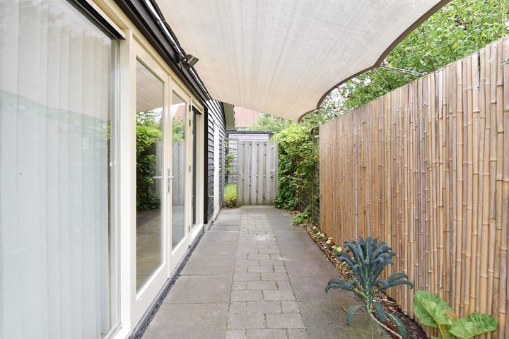 Photo 41 of Blauw Glidkruid 4