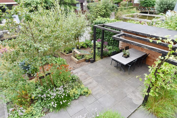 Photo 52 of Blauw Glidkruid 4