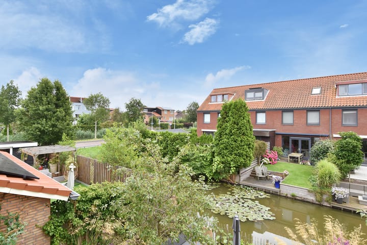 Photo 53 of Blauw Glidkruid 4