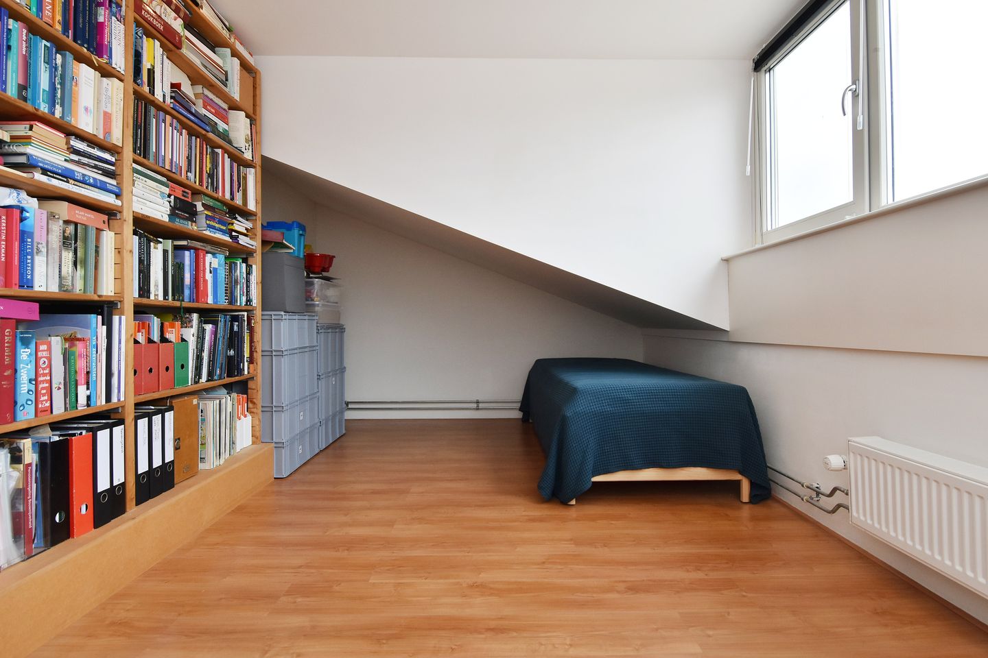 Photo 59 of Blauw Glidkruid 4