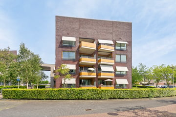 Bruëlisstraat thumbnail