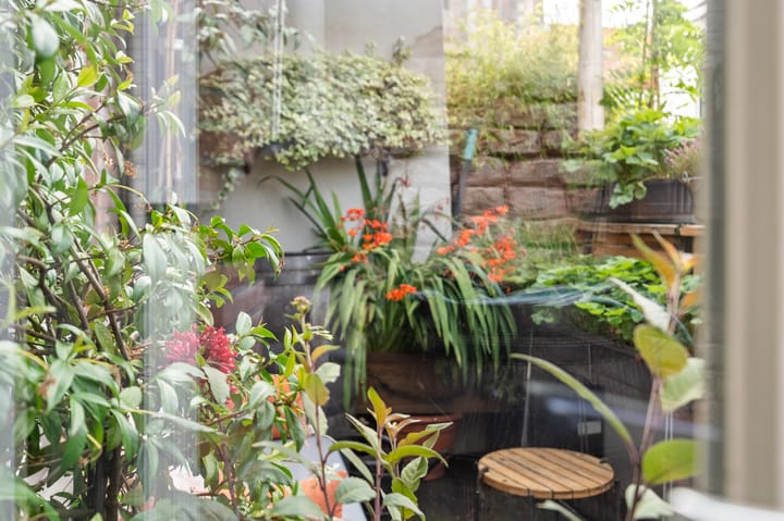 Foto 62 van Oudestraat 256-I