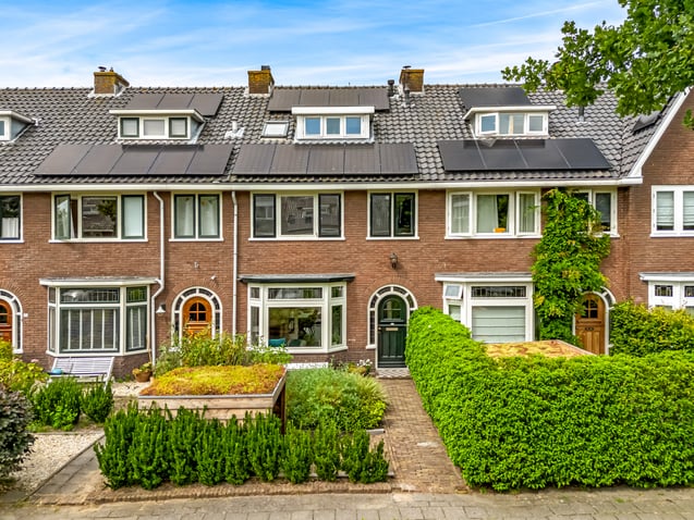 undefined main image